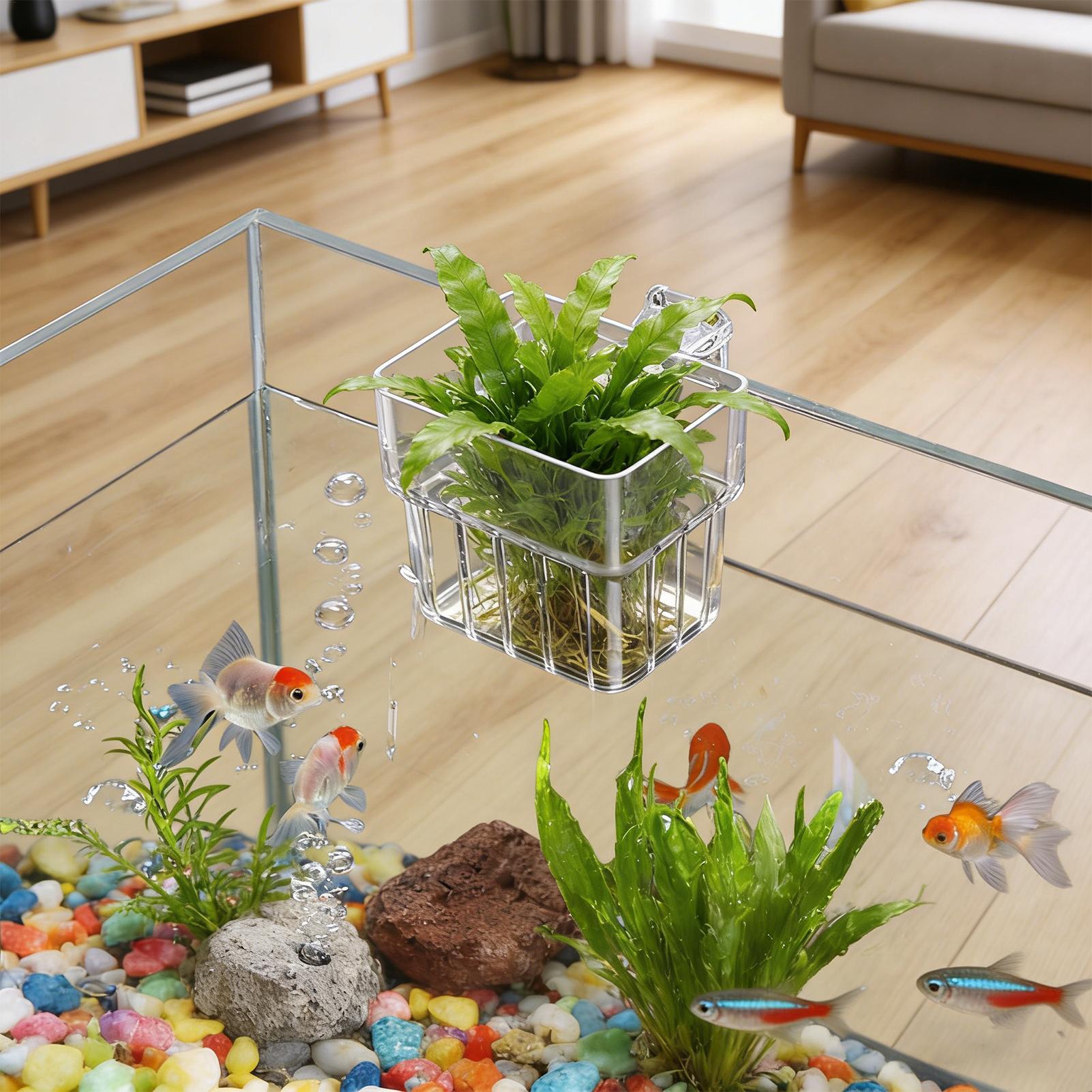 Aquarium Plant Live - 투명한 걸이식 수족관 식물 홀더 화분,