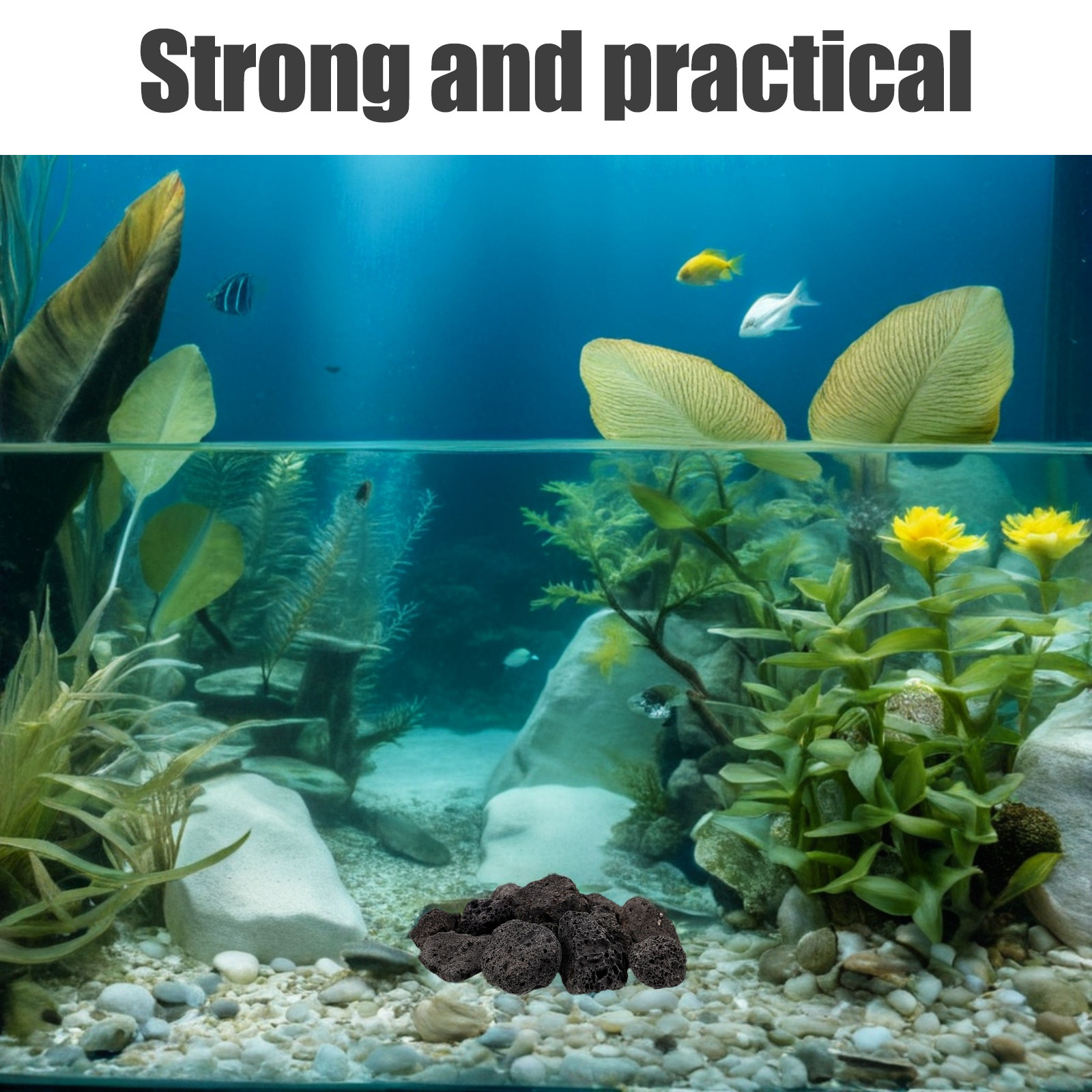 Aquarium For Planted Tank - 1팩 화산석 장식용 돌 - 수족관,