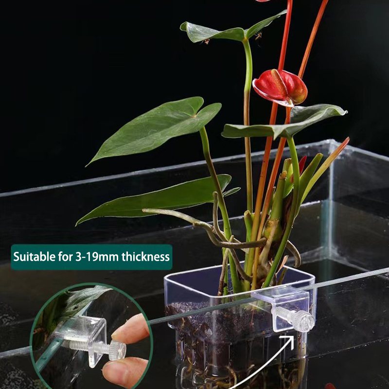Aquarium For Planted Tank - 다기능 물고기 수족관 물 잔디 심기