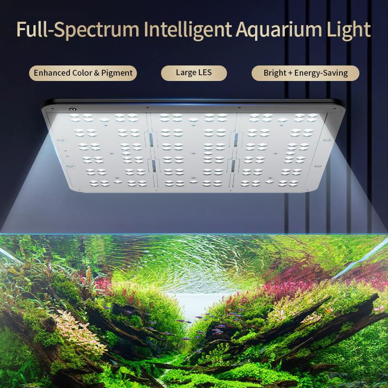 카스레이 T200/T300 IR-A+UV 자연 수생 식 - Planted Aquarium Uv Light 리뷰 및 가격