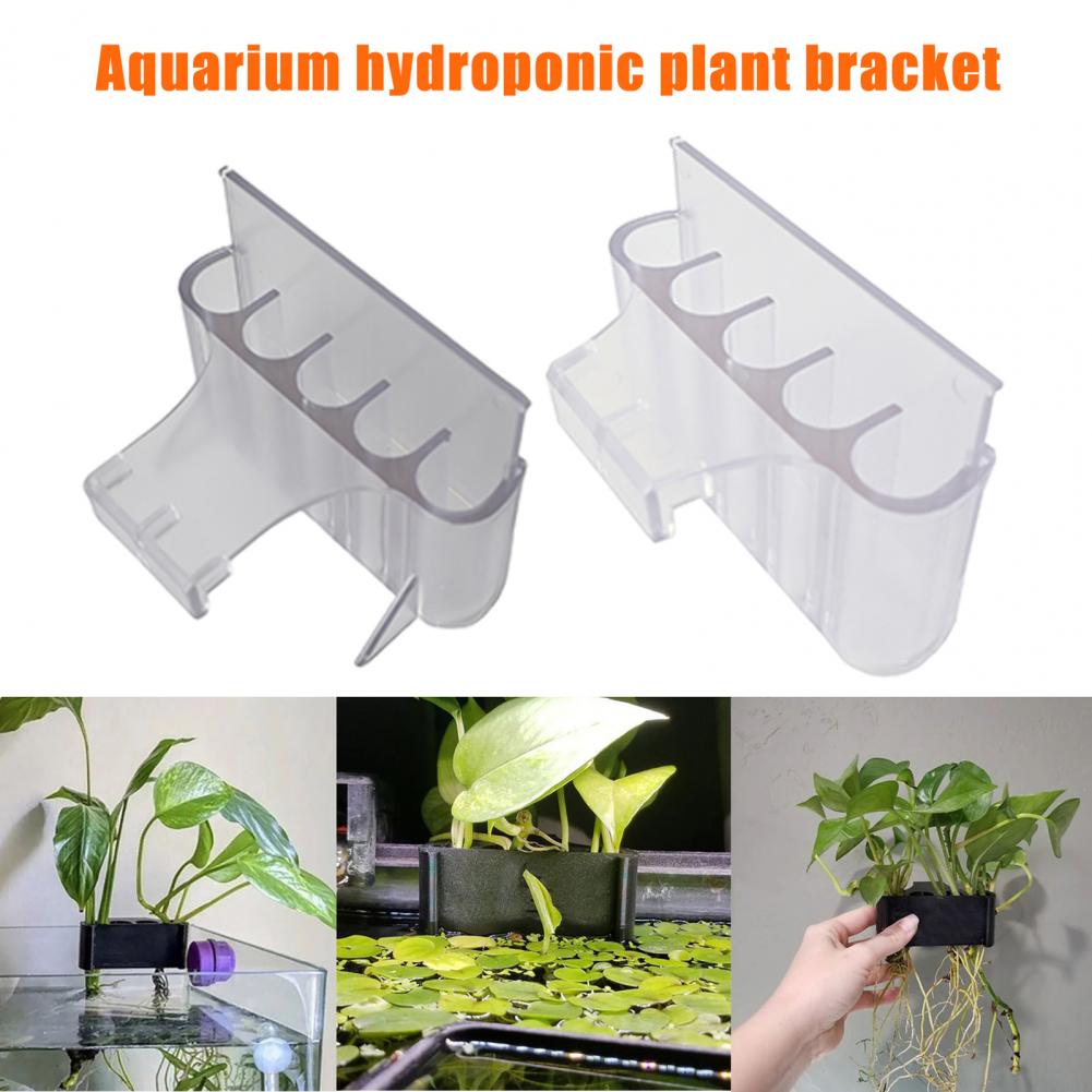4.5/6.5cm 수족관 식물 홀더 물고기 탱크 식물  - Aquarium For Planted Tank 리뷰 및 가격