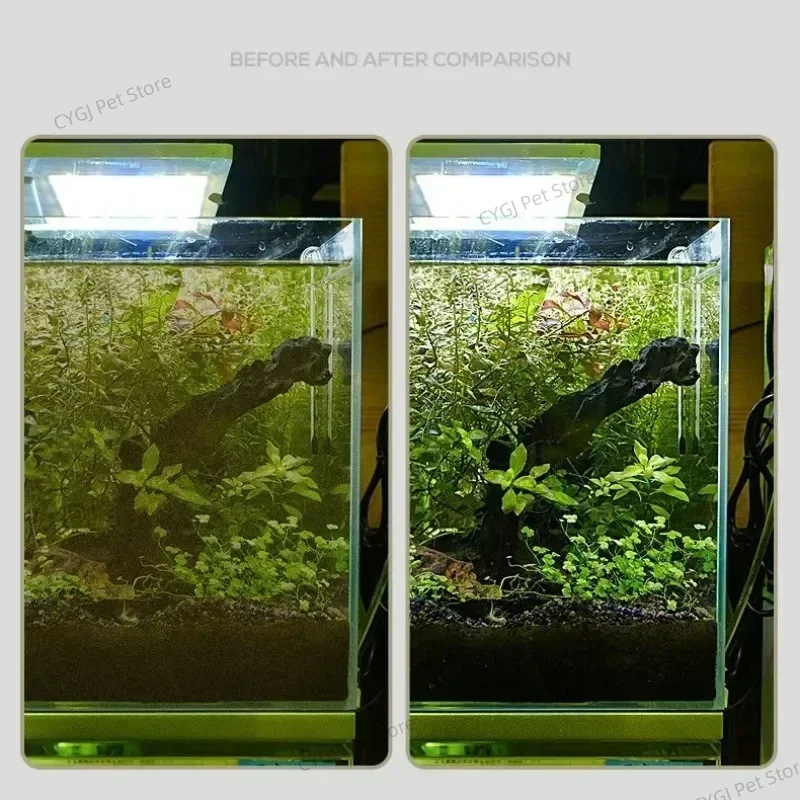 수조 청소 도구 평면 모래 조류 제거 이중 용도 유리  - Planted Aquarium Maintenance Kit 리뷰 및 가격