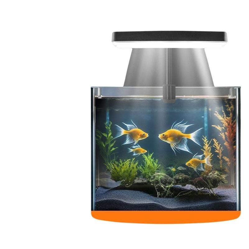 USB 수족관 클립 조명, 가정 사무실 데스크탑 어항  - Aquarium For Planted Tank 리뷰 및 가격
