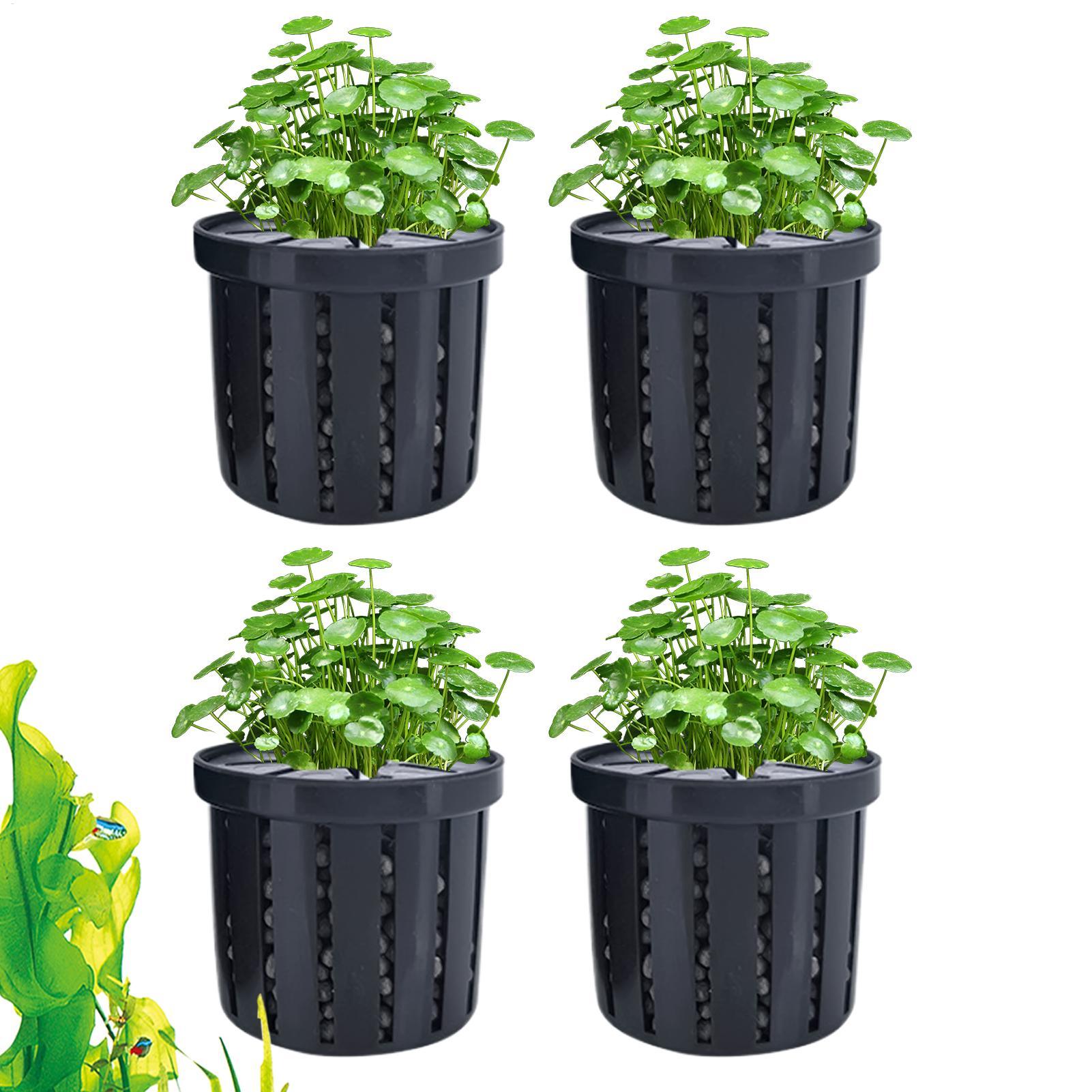 4개의 수족관 화분, 스펀지 흡착판 포함, 바닥으로 자 - Aquarium Plant Live 리뷰 및 가격