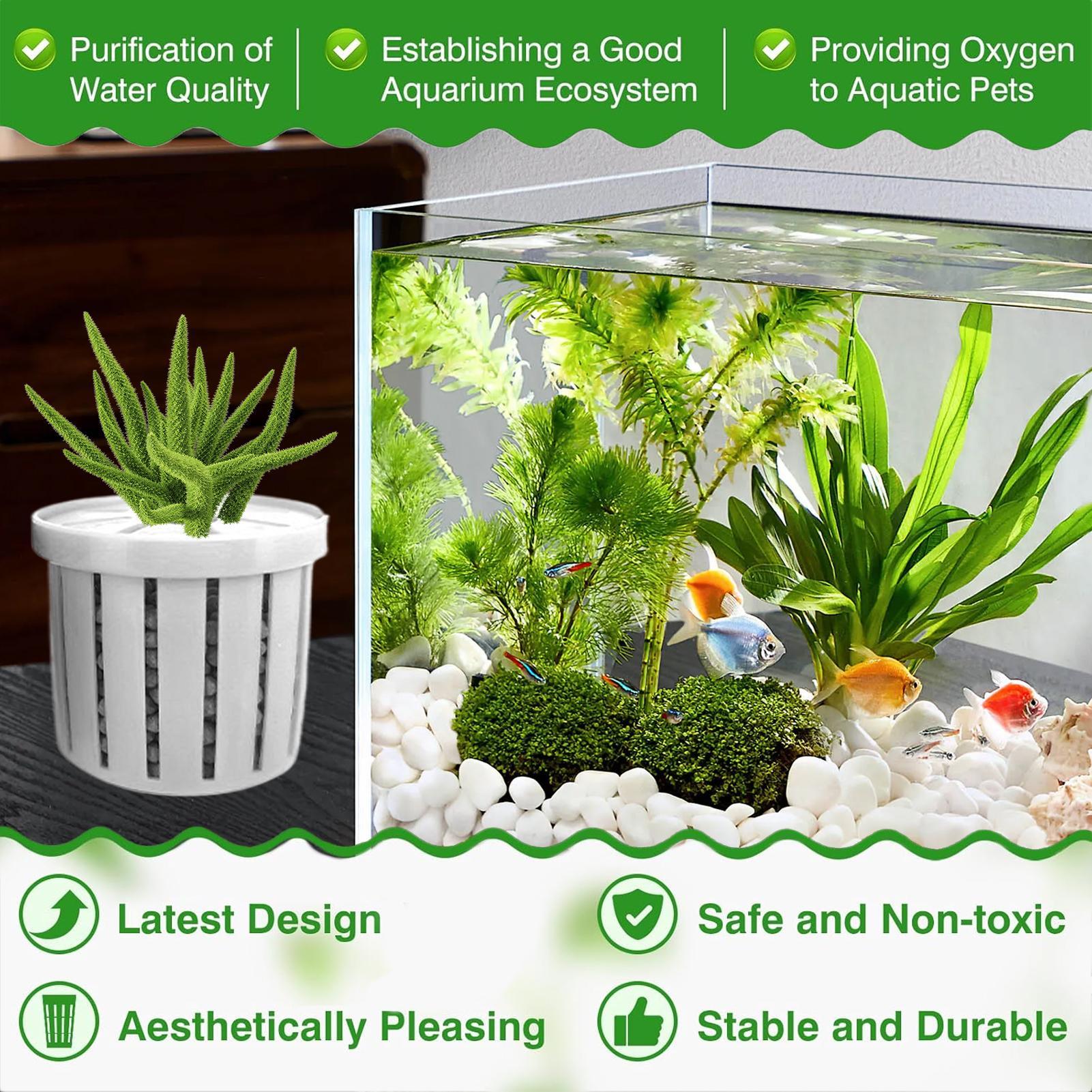 4개의 수족관 화분, 스펀지 흡착판 포함, 바닥으로 자 - Aquarium Plant Live 리뷰 및 가격