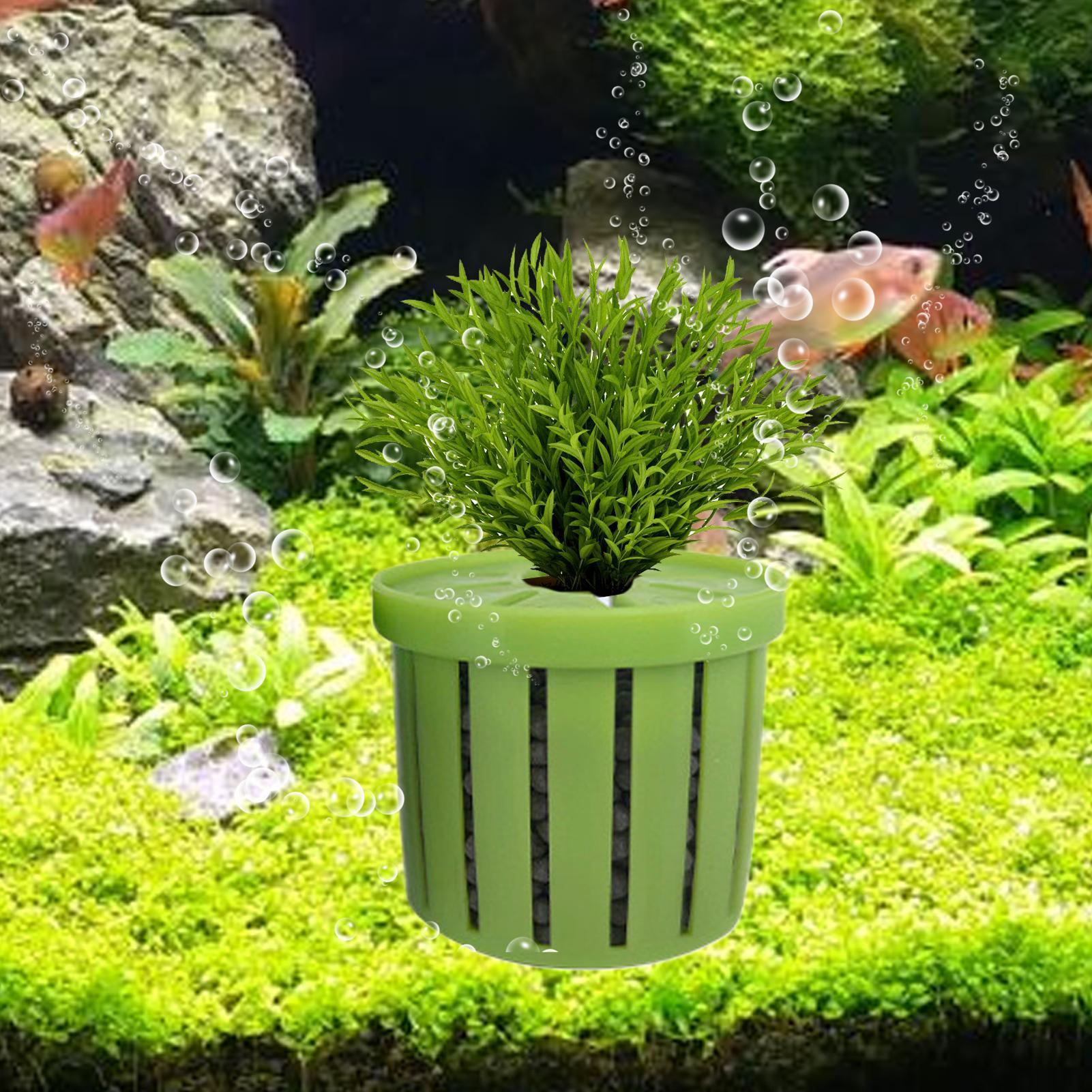 4개의 수족관 화분, 스펀지 흡착판 포함, 바닥으로 자 - Aquarium Plant Live 리뷰 및 가격