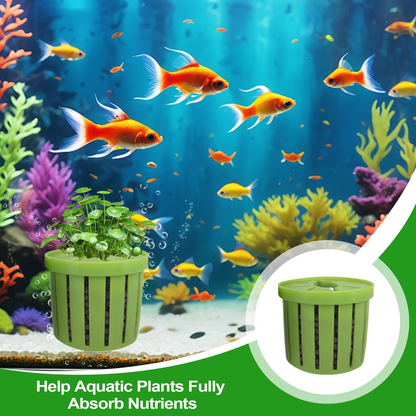 4개의 수족관 화분, 스펀지 흡착판 포함, 바닥으로 자 - Aquarium Plant Live 리뷰 및 가격