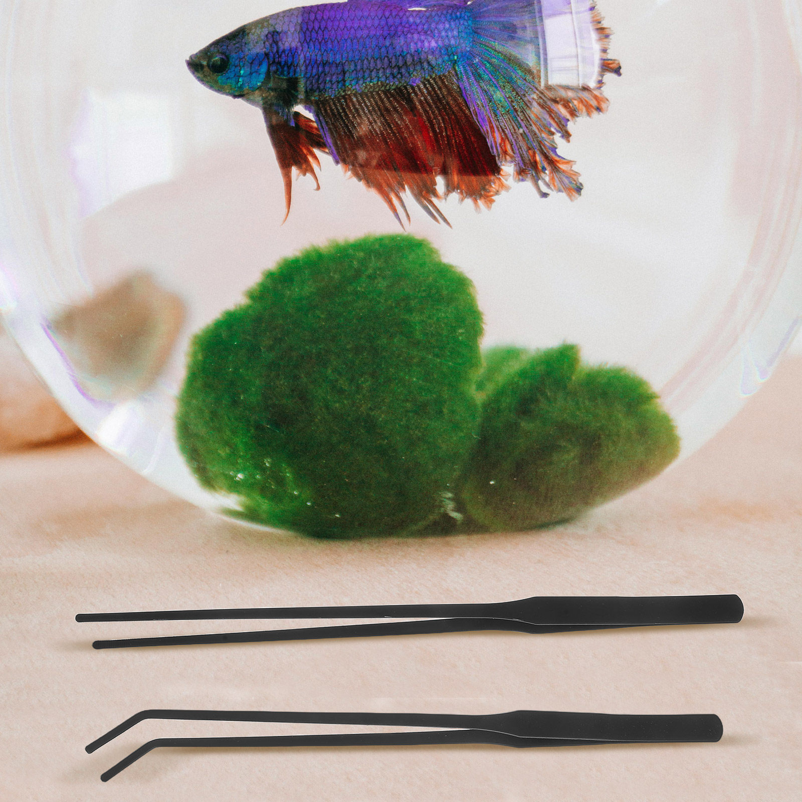 4pcs 수족관 핀셋 스테인레스 스틸 롱 핸들 물고기  - Planted Aquarium Maintenance Kit 리뷰 및 가격
