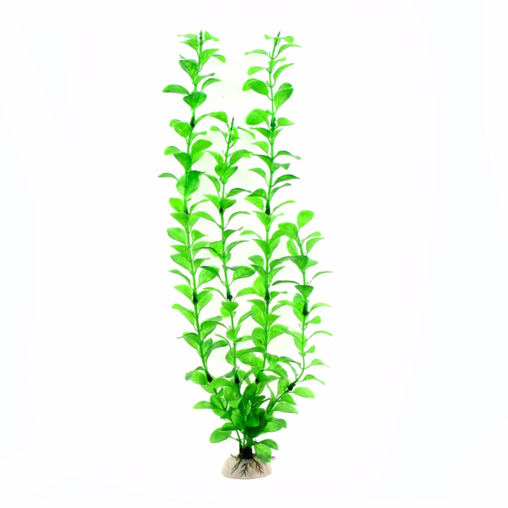 장식 수족관 액세서리 인공 수중 식물 수족관 물고기 탱 - Aquarium Plant Live 리뷰 및 가격
