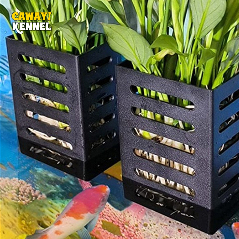 애완 동물 수조 장식 수족관 식물 스탠드, 흡착식 수경 - Aquarium Plant Live 리뷰 및 가격