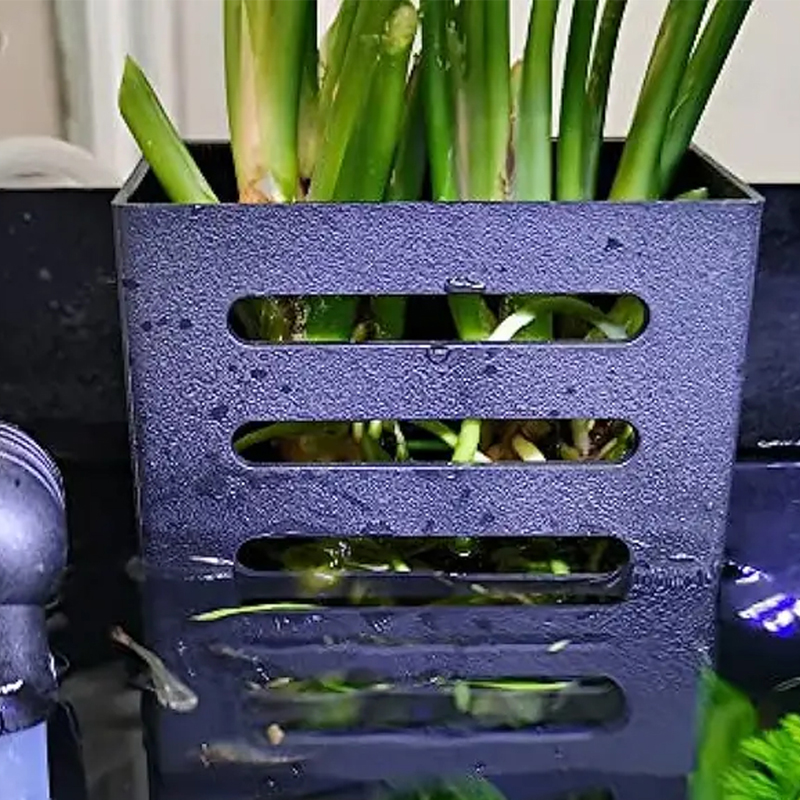 애완 동물 수조 장식 수족관 식물 스탠드, 흡착식 수경 - Aquarium Plant Live 리뷰 및 가격