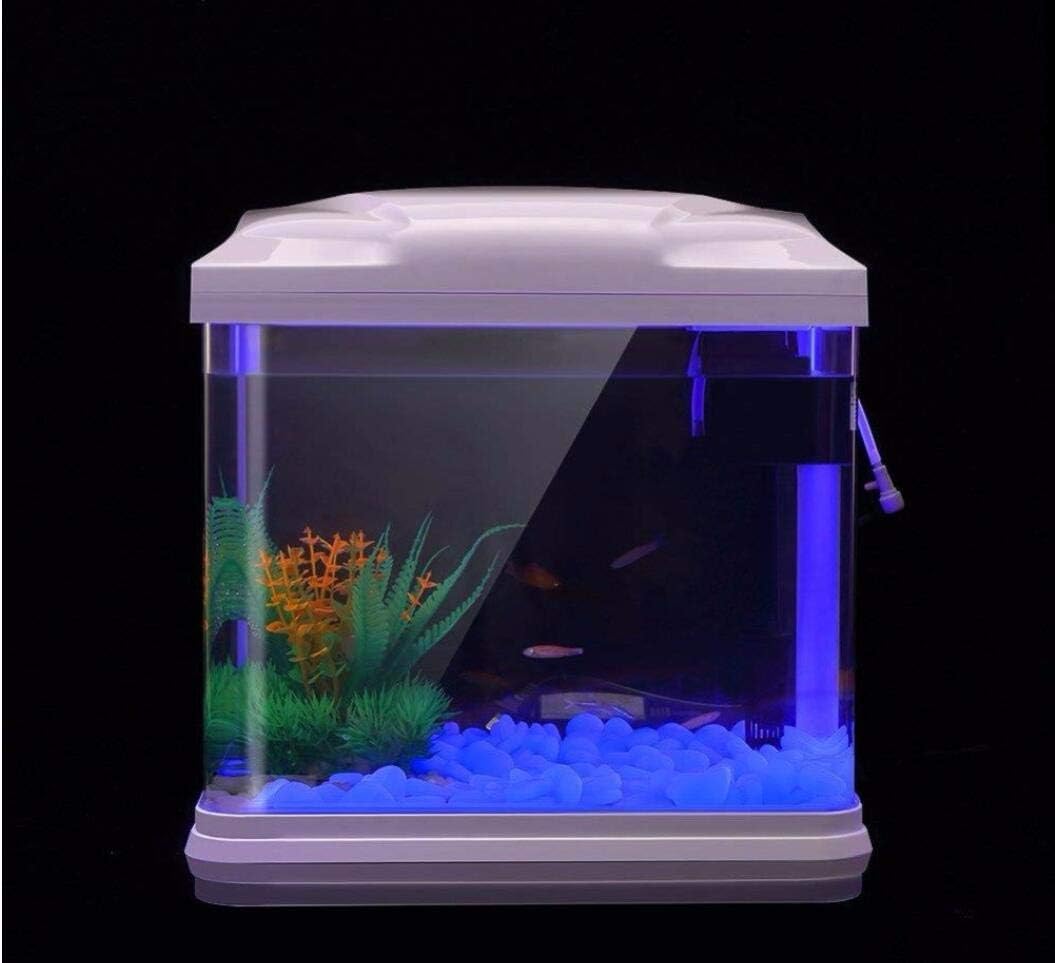 물고기 탱크 바위 정원 물고기 탱크 수족관 식물 냄비  - Aquarium For Planted Tank 리뷰 및 가격