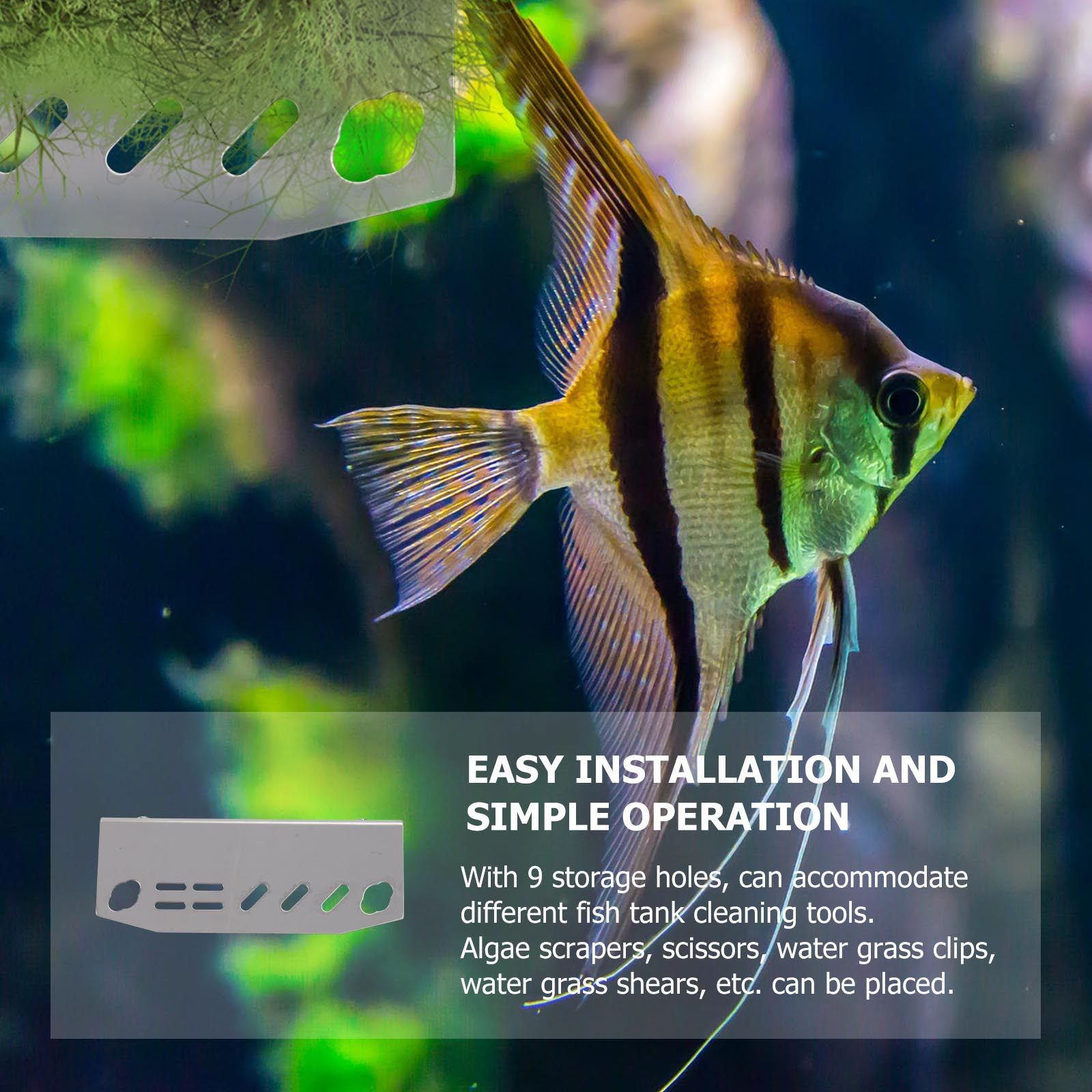 1Pcs 수족관 도구 랙 스테인레스 스틸 물풀 도구 정 - Aquarium For Planted Tank 리뷰 및 가격