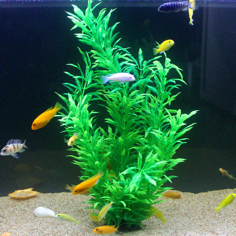 50CM 인조 어항 희귀 식물 수족관 가짜 대나무 잎  - Aquarium For Planted Tank 리뷰 및 가격