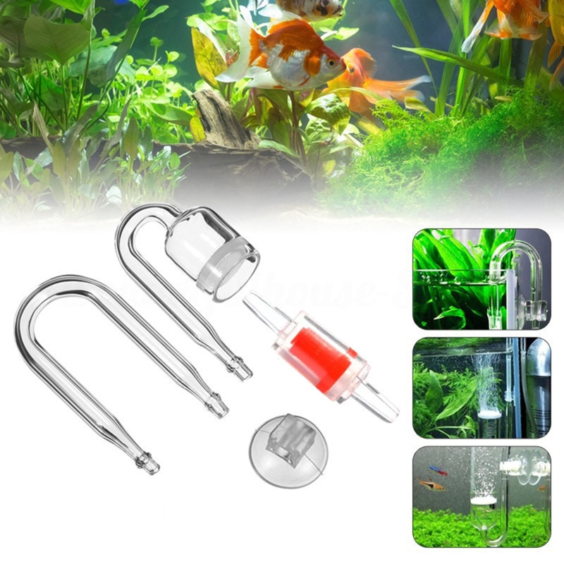 수족관 유리 탱크용 DIY CO2 디퓨저, 버블 반응기 - Aquarium Plant Live 리뷰 및 가격