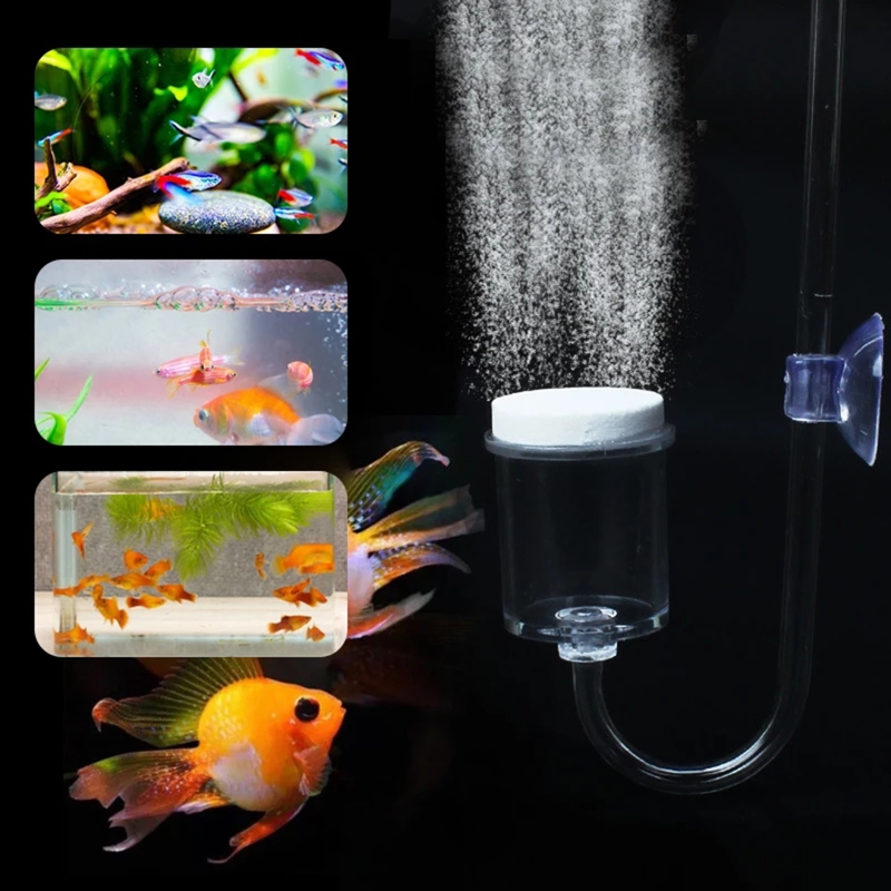 수족관 유리 탱크용 DIY CO2 디퓨저, 버블 반응기 - Aquarium Plant Live 리뷰 및 가격
